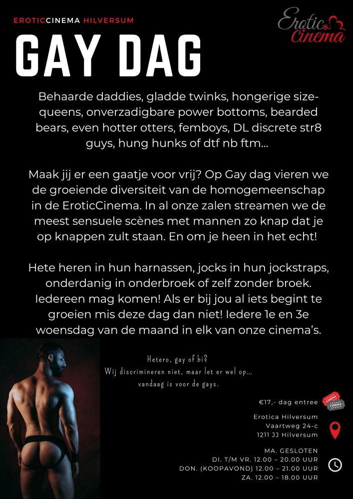Gay dag Hilversum.jpg